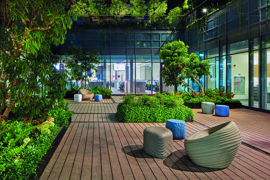 Moso Bamboo by Shai Gil